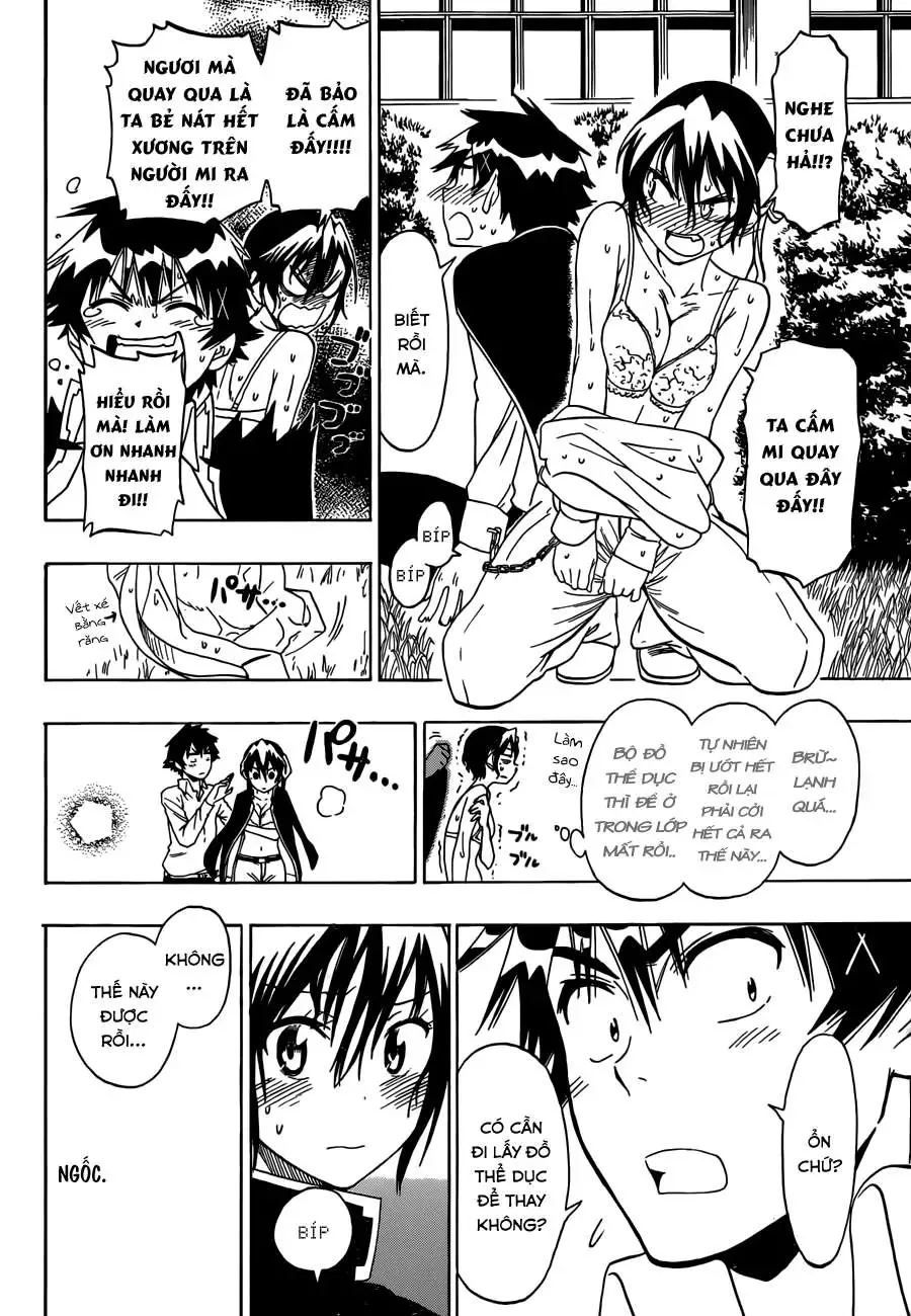 Nisekoi Chapter 70 - Trang 16