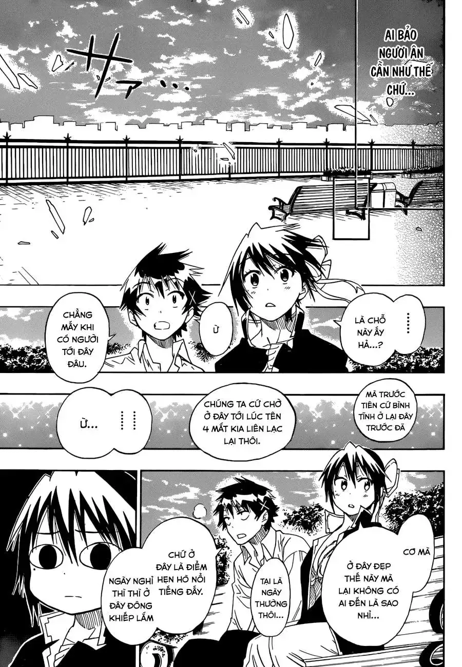 Nisekoi Chapter 70 - Trang 17