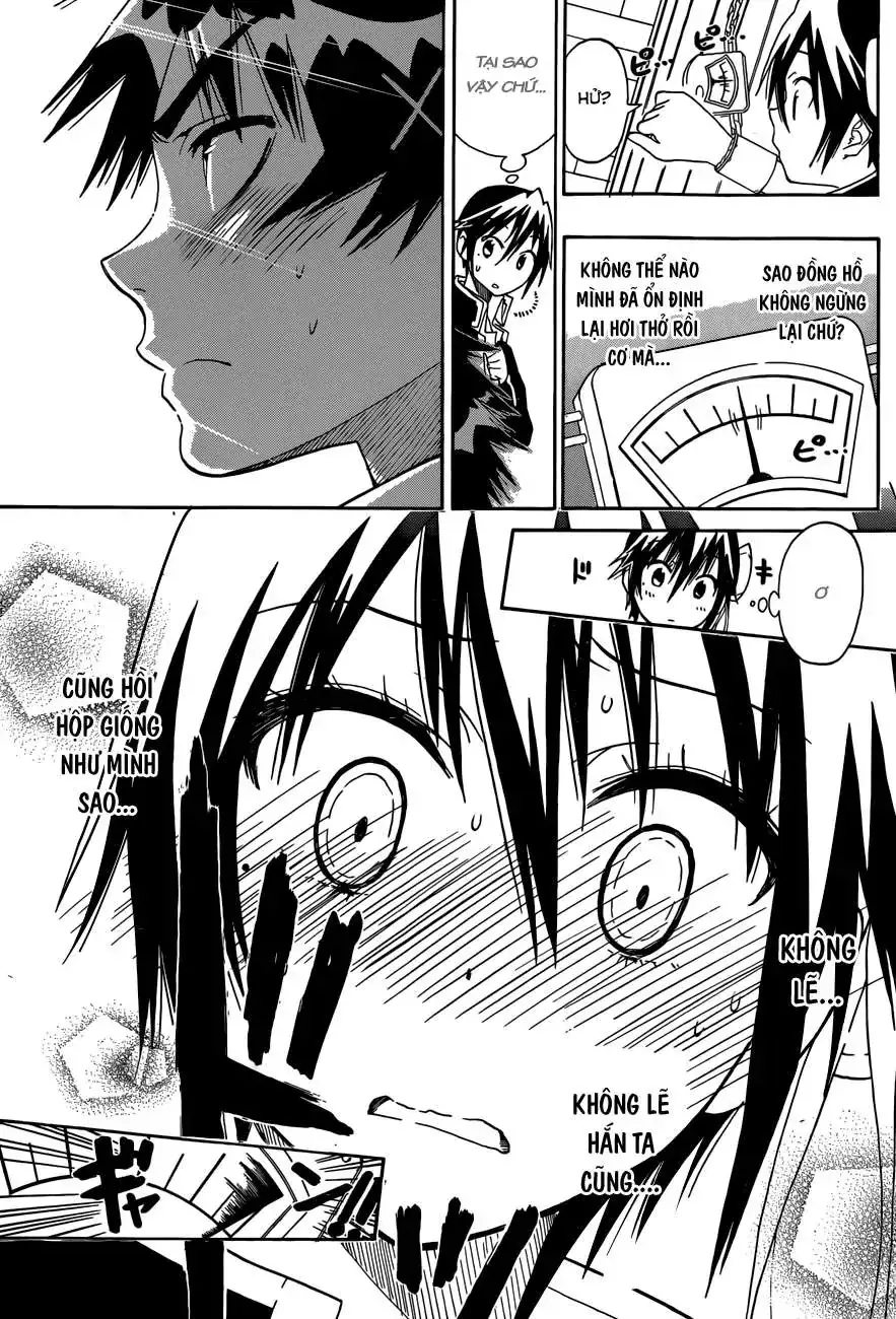 Nisekoi Chapter 70 - Trang 19