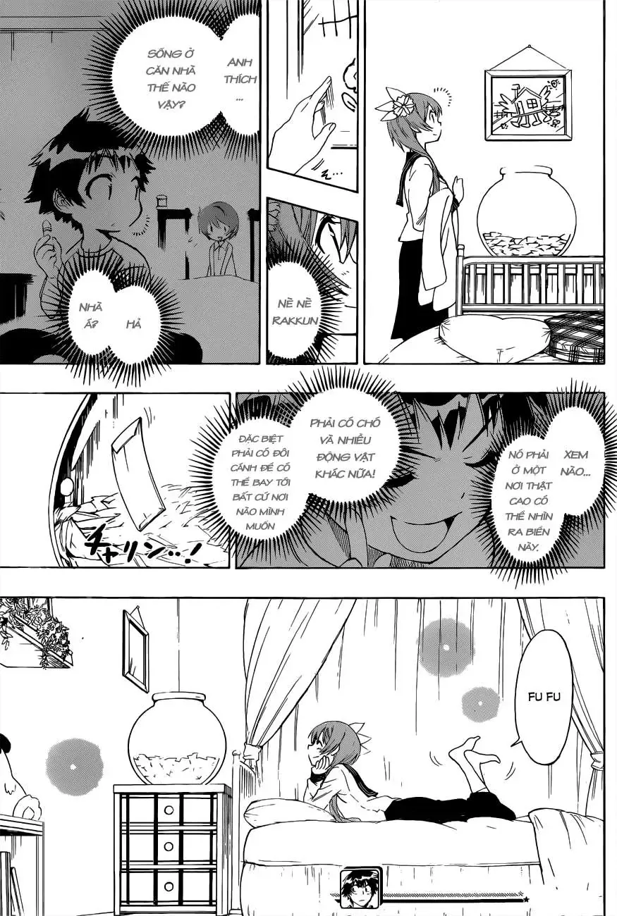 Nisekoi Chapter 71 - Trang 21