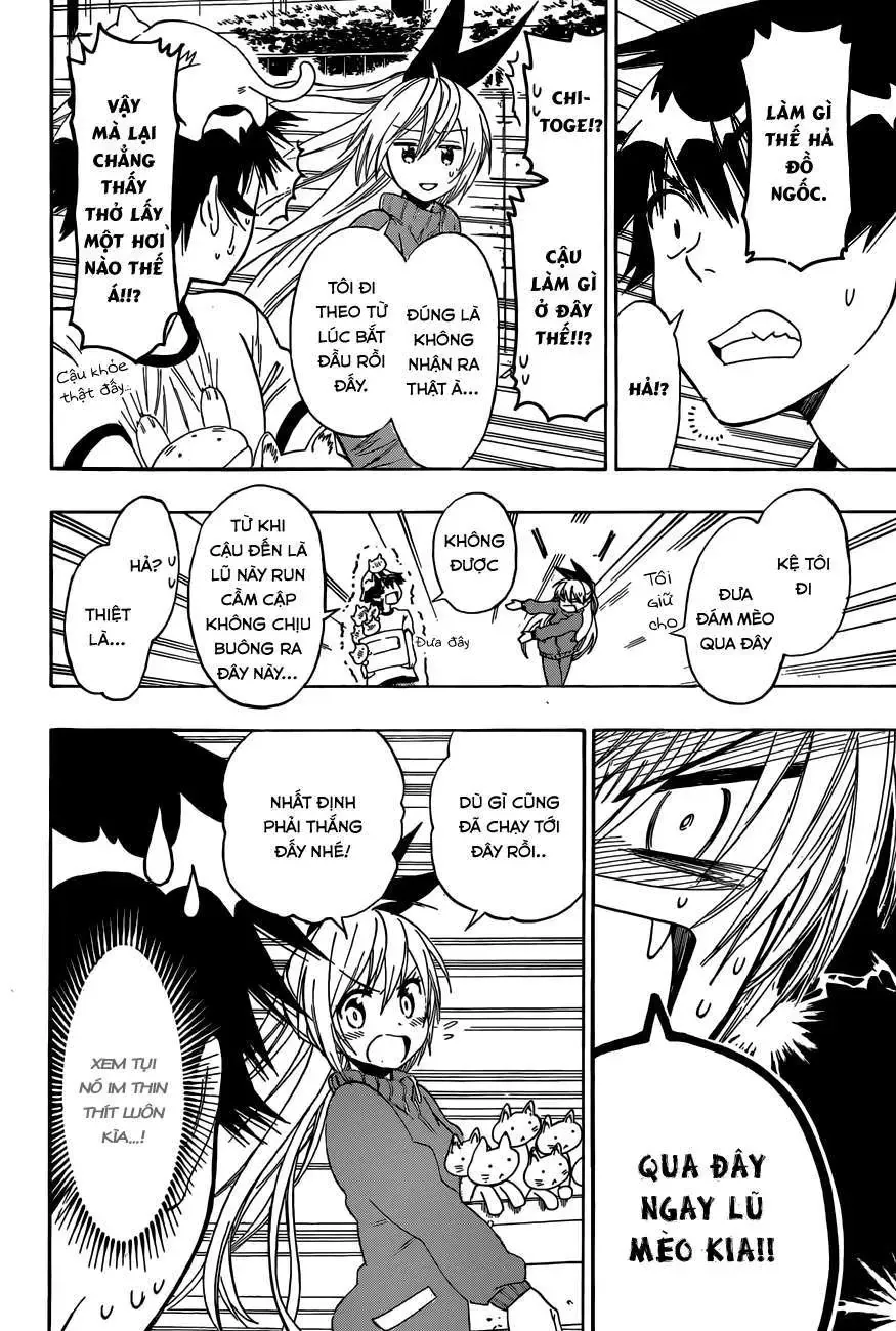 Nisekoi Chapter 73 - Trang 12