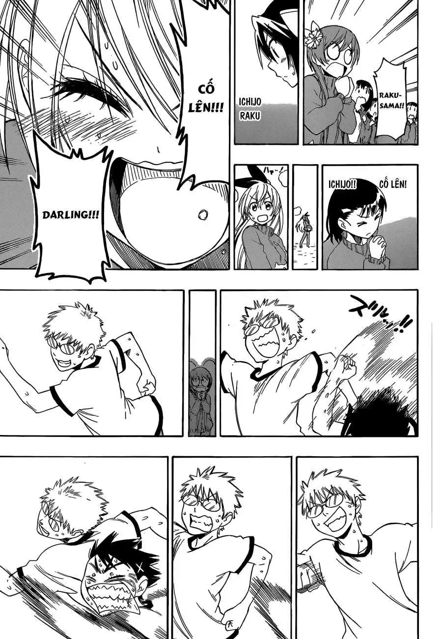 Nisekoi Chapter 73 - Trang 17