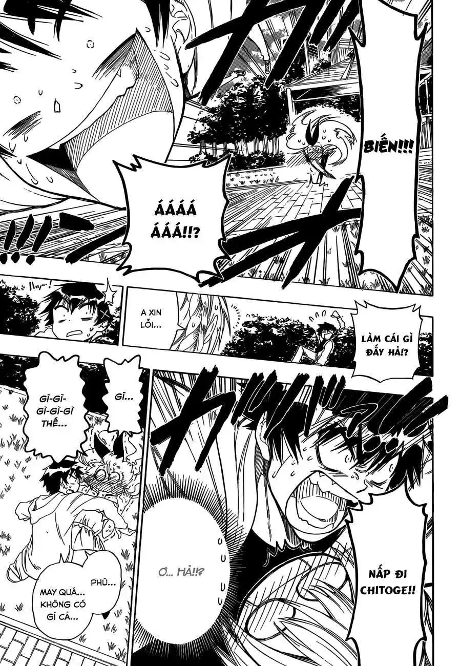 Nisekoi Chapter 74 - Trang 11
