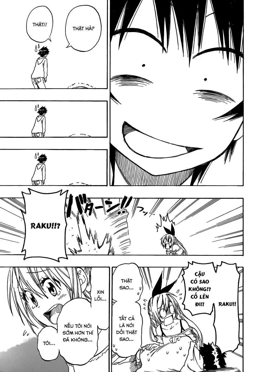 Nisekoi Chapter 74 - Trang 19