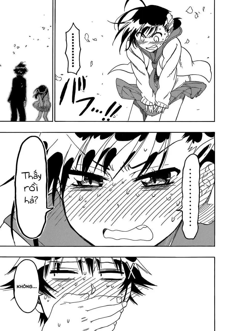 Nisekoi Chapter 75 - Trang 19