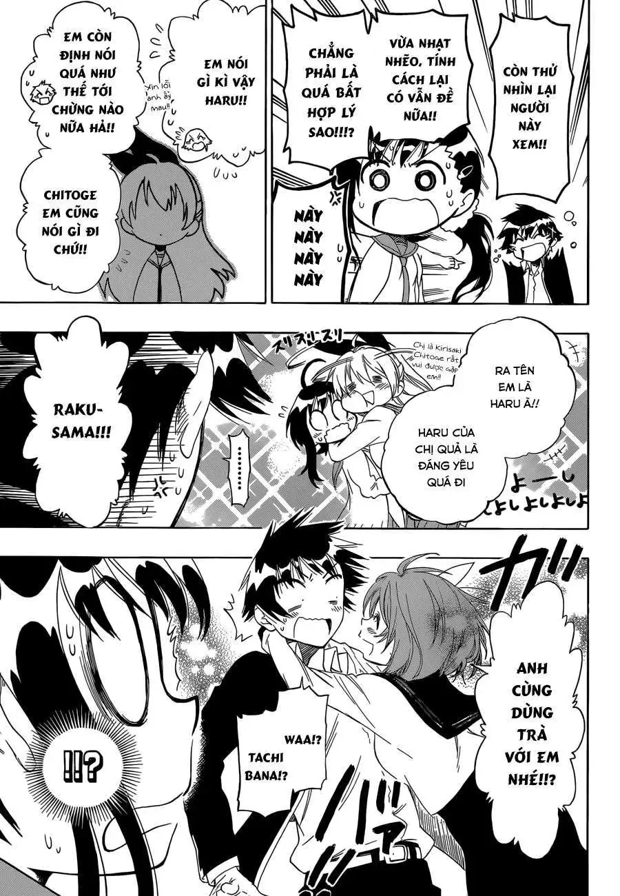 Nisekoi Chapter 76 - Trang 12