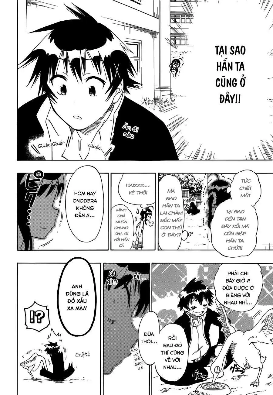 Nisekoi Chapter 76 - Trang 17