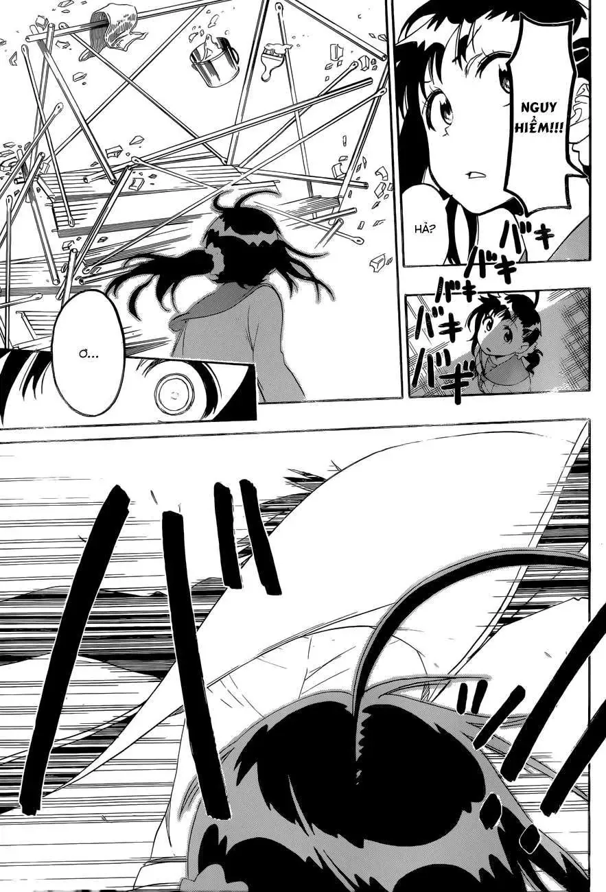 Nisekoi Chapter 78 - Trang 17