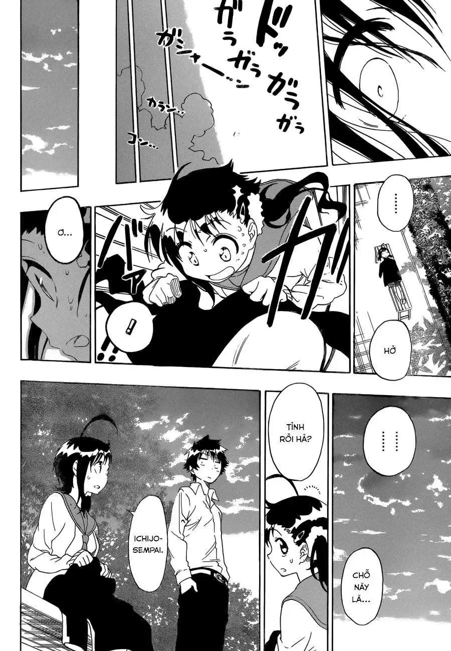 Nisekoi Chapter 78 - Trang 18
