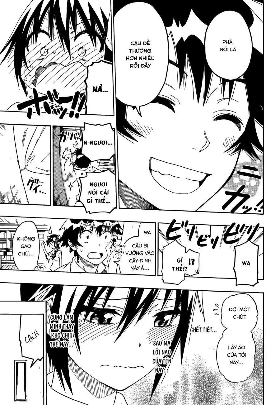 Nisekoi Chapter 79 - Trang 19