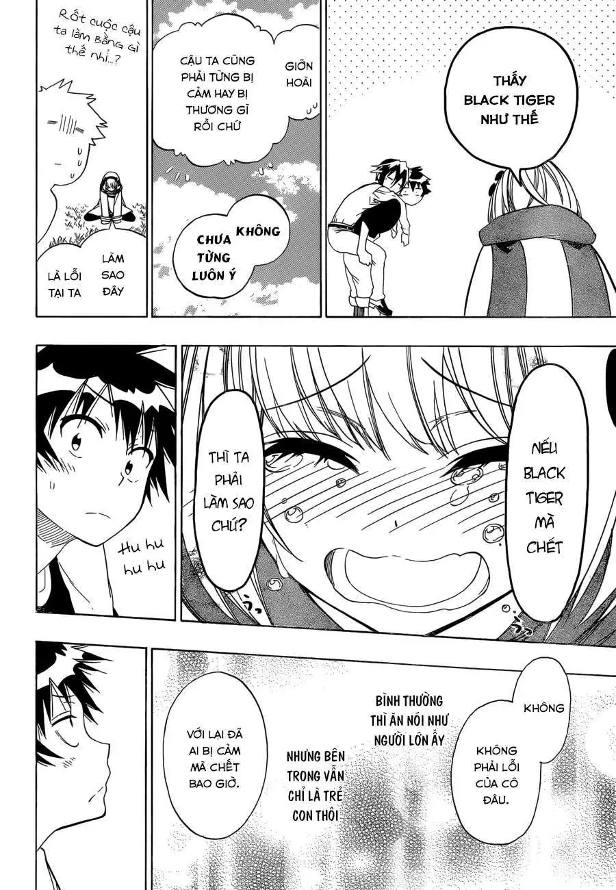 Nisekoi Chapter 80 - Trang 14
