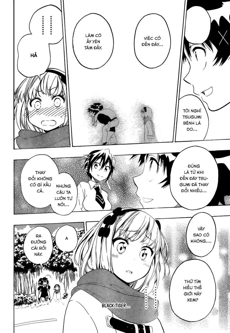 Nisekoi Chapter 80 - Trang 16