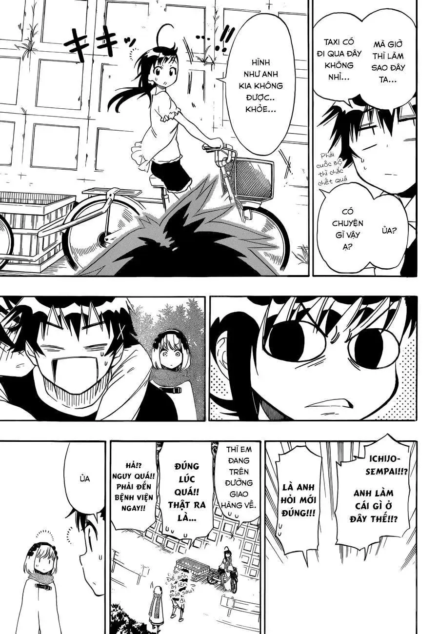 Nisekoi Chapter 80 - Trang 17