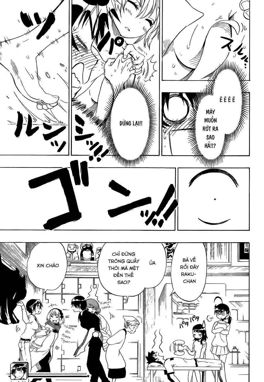 Nisekoi Chapter 81 - Trang 21