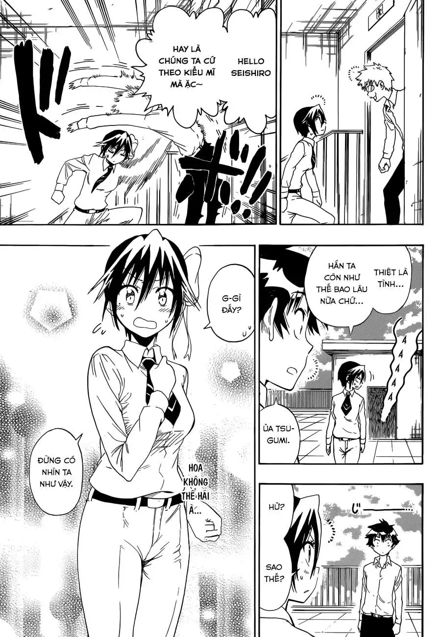 Nisekoi Chapter 83 - Trang 13