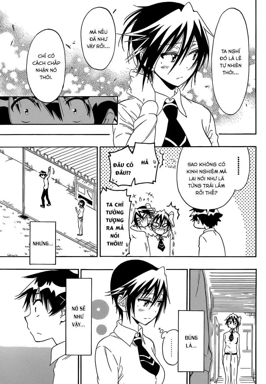 Nisekoi Chapter 84 - Trang 15