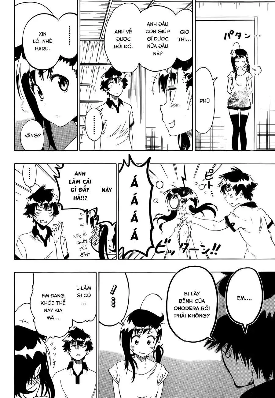 Nisekoi Chapter 86 - Trang 12