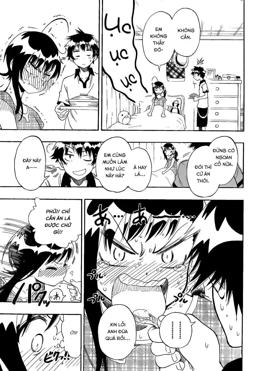 Nisekoi Chapter 86 - Trang 15