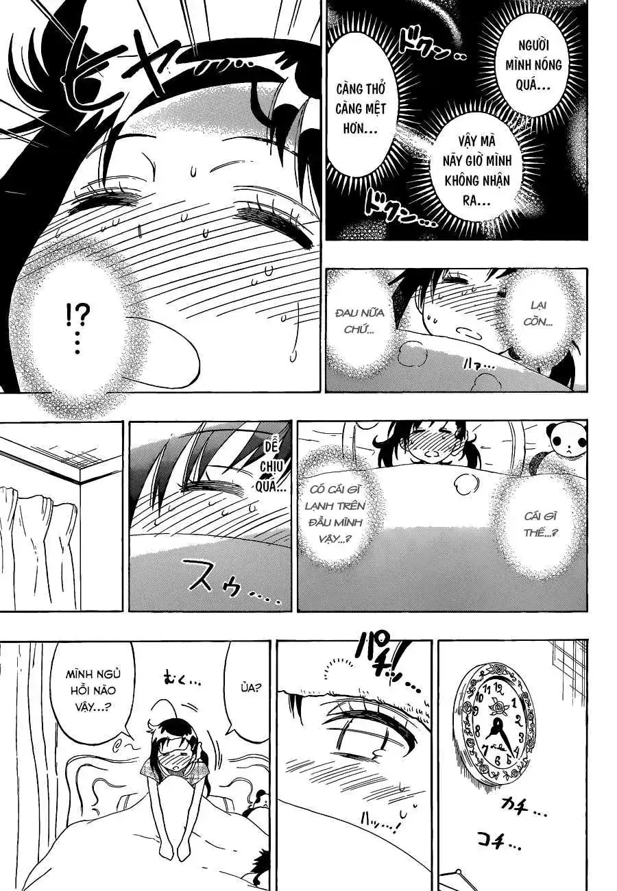 Nisekoi Chapter 86 - Trang 17