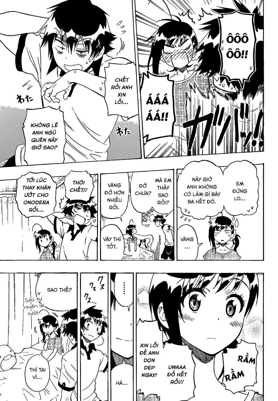 Nisekoi Chapter 86 - Trang 19