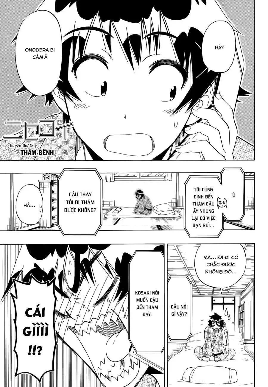 Nisekoi Chapter 86 - Trang 3