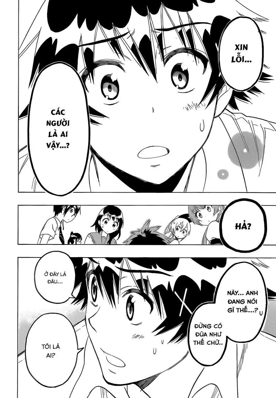 Nisekoi Chapter 87 - Trang 19