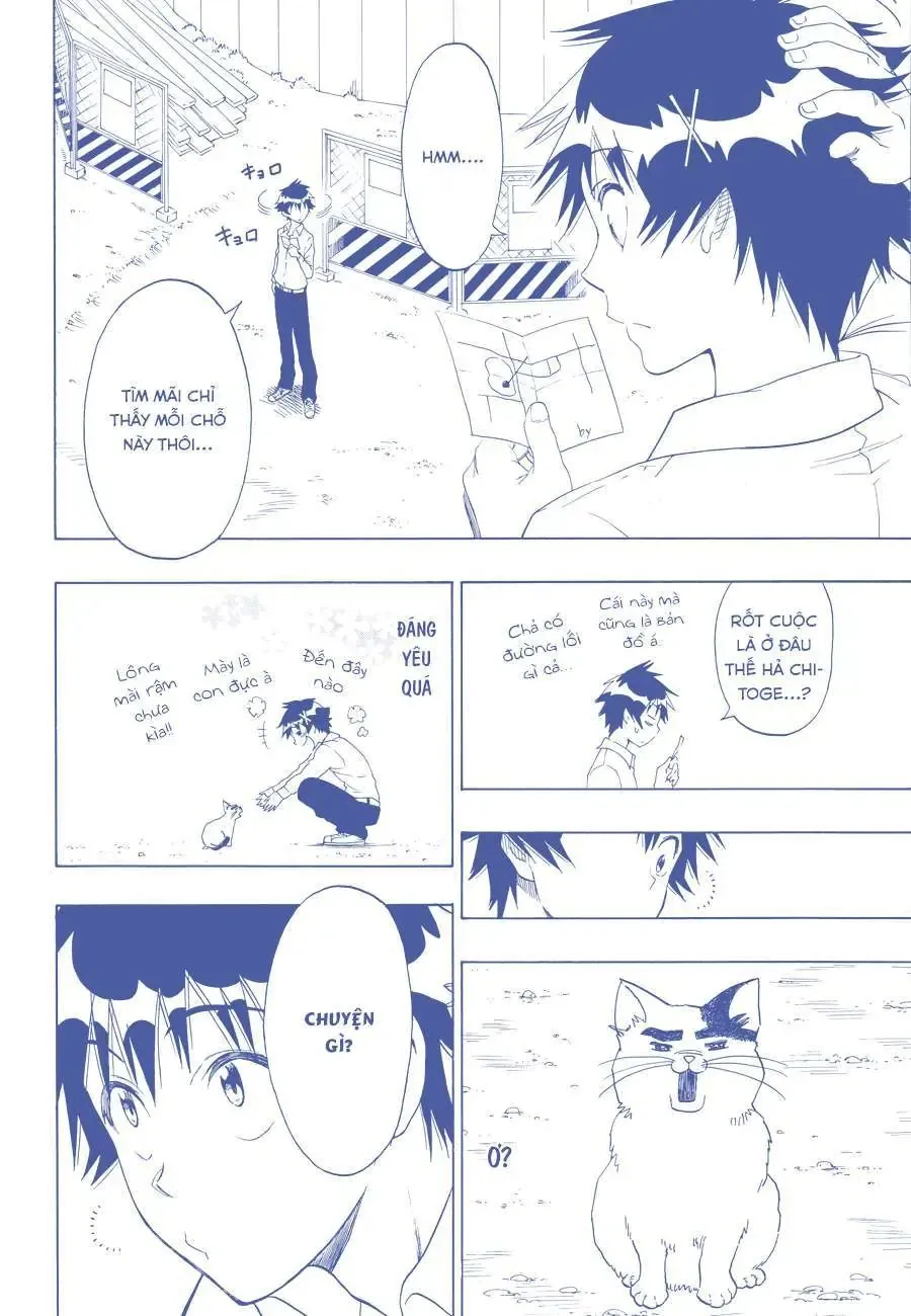 Nisekoi Chapter 89.5 - Trang 4