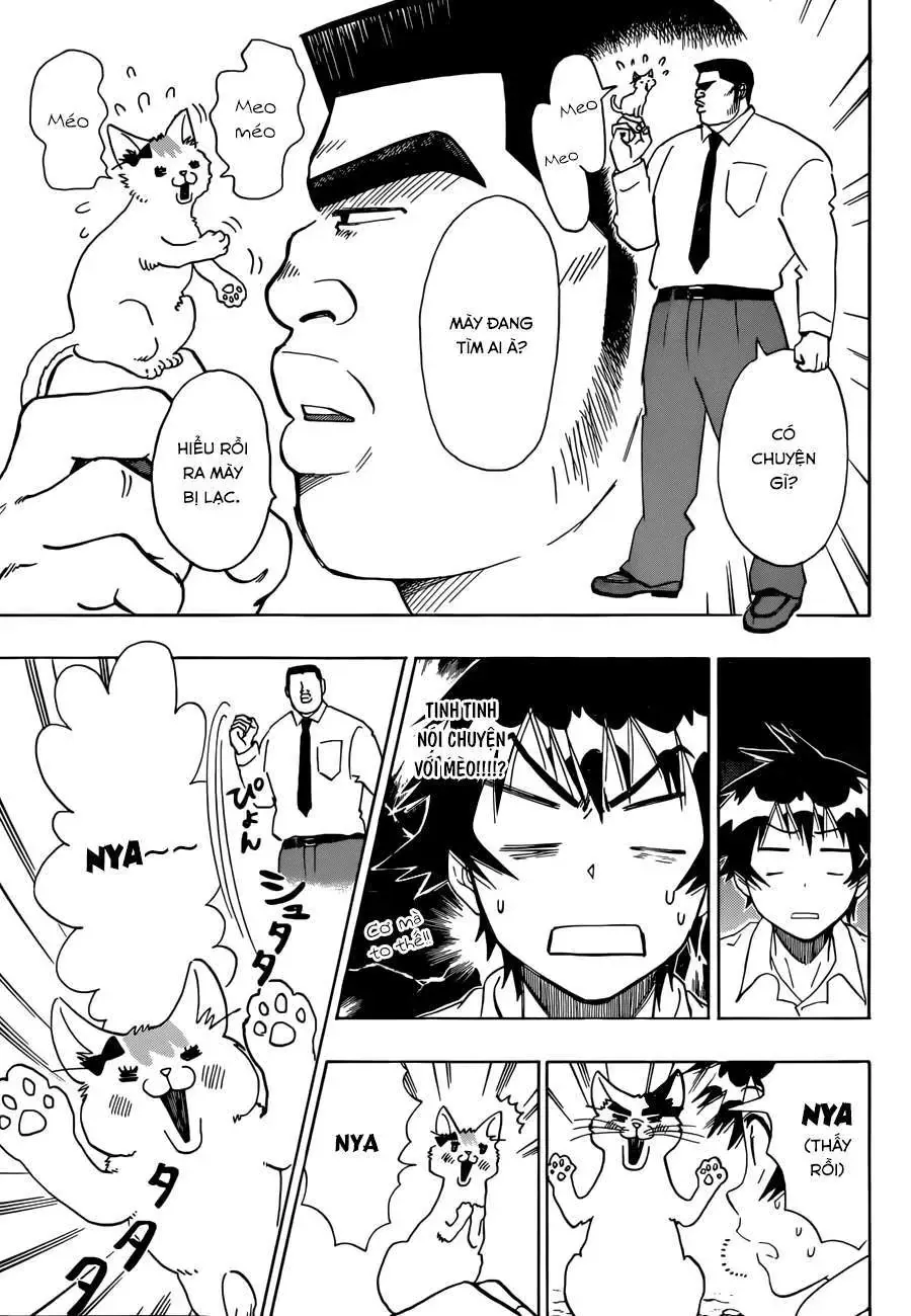 Nisekoi Chapter 89.5 - Trang 5