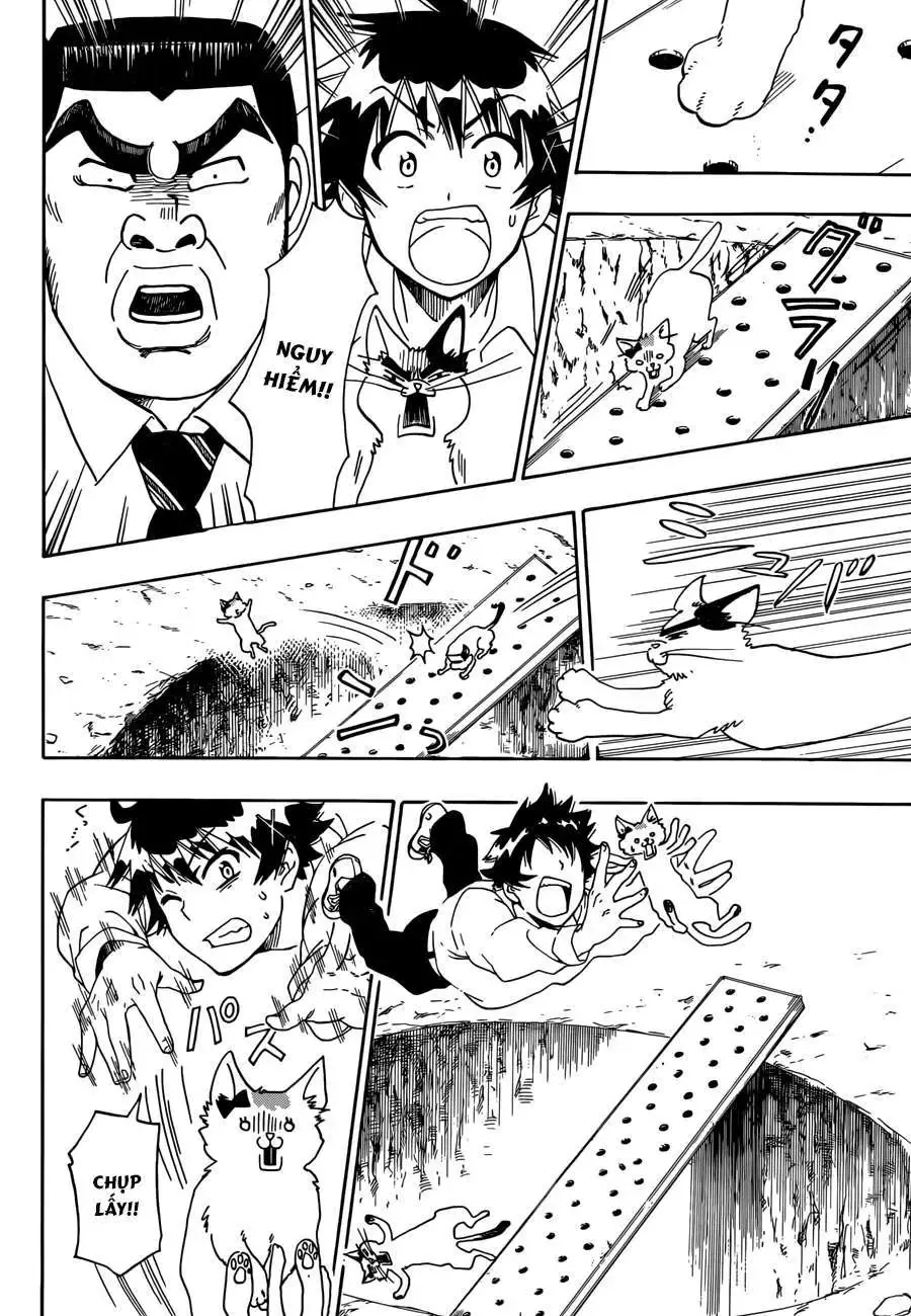 Nisekoi Chapter 89.5 - Trang 6