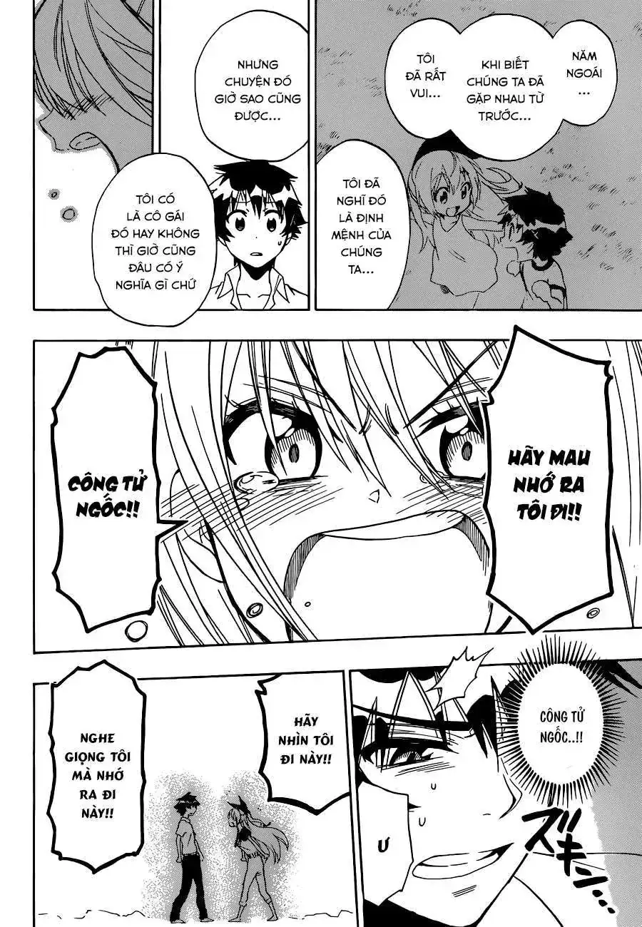 Nisekoi Chapter 91 - Trang 14