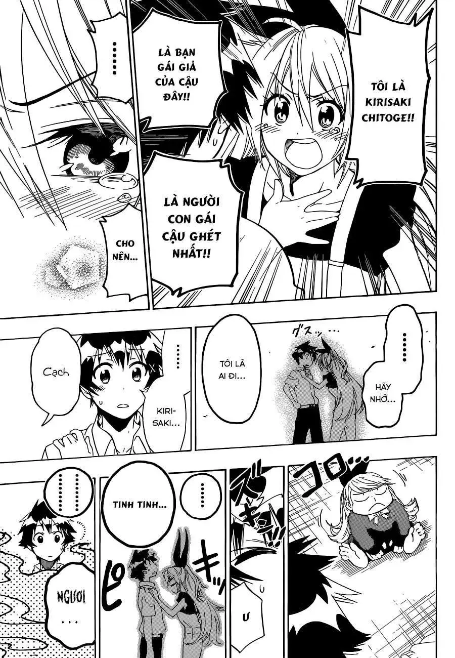 Nisekoi Chapter 91 - Trang 15