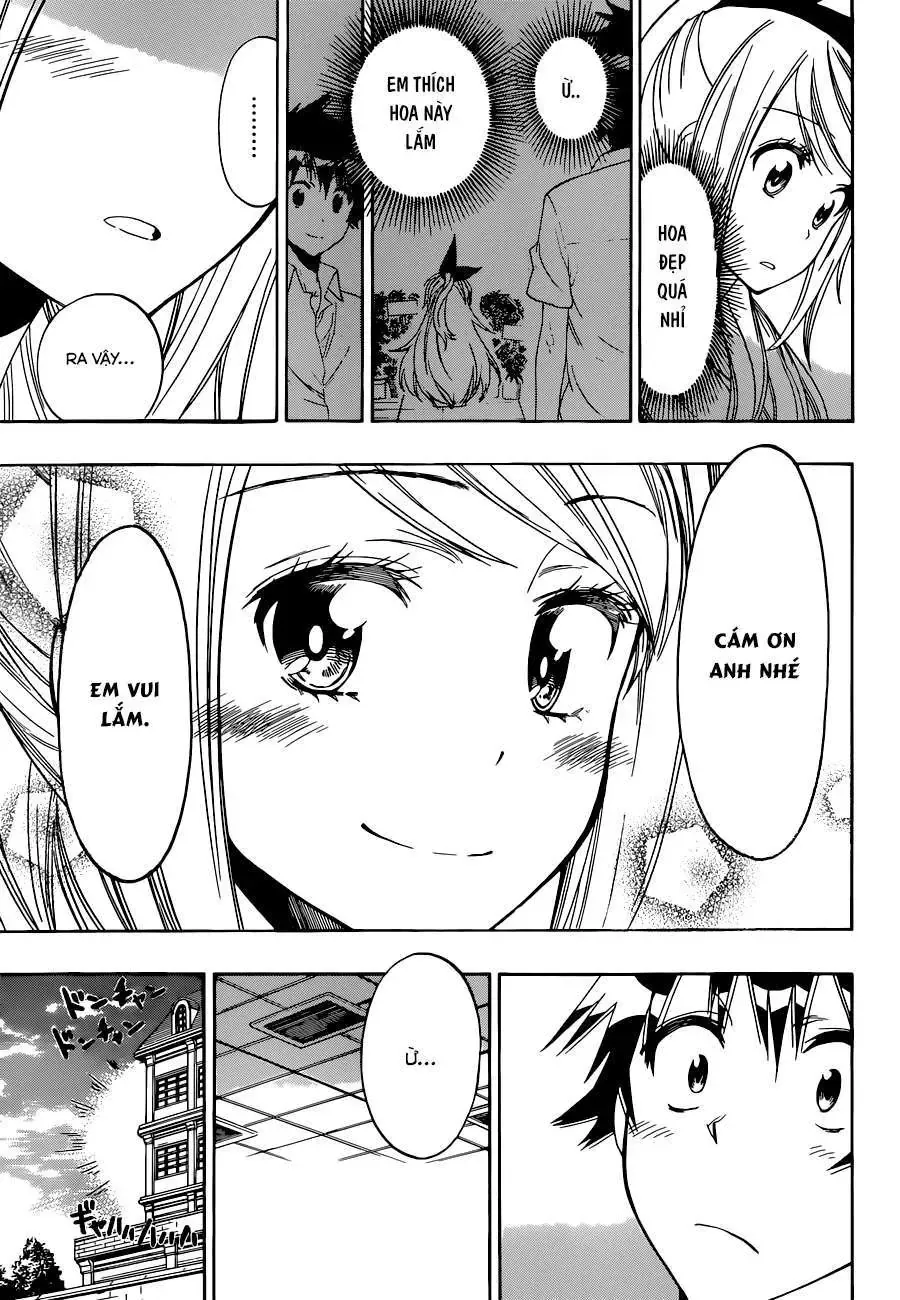 Nisekoi Chapter 92 - Trang 15
