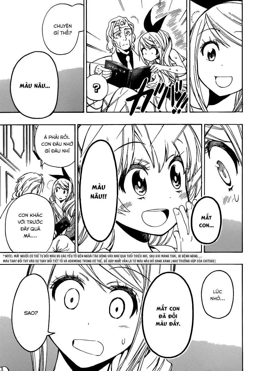 Nisekoi Chapter 92 - Trang 17
