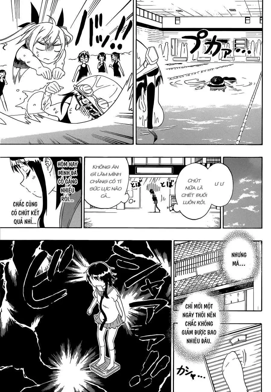 Nisekoi Chapter 93 - Trang 15