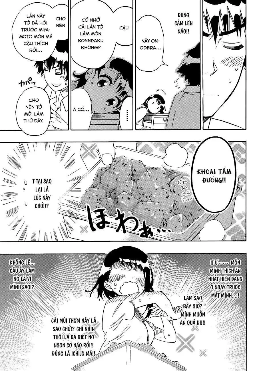 Nisekoi Chapter 93 - Trang 17