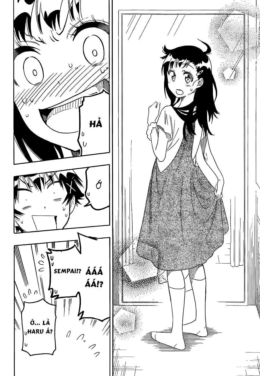 Nisekoi Chapter 94 - Trang 14