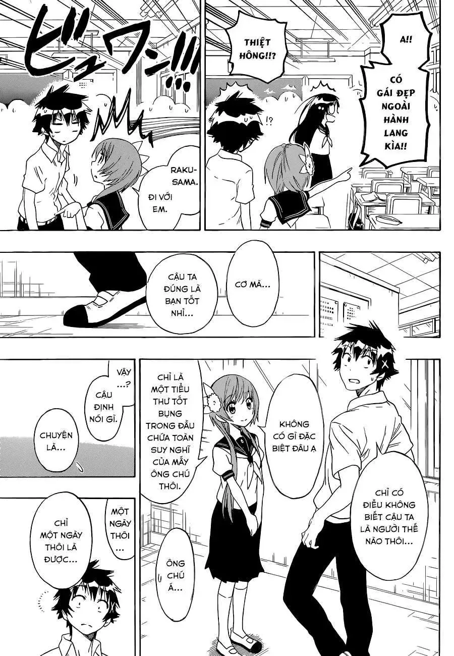 Nisekoi Chapter 95 - Trang 15