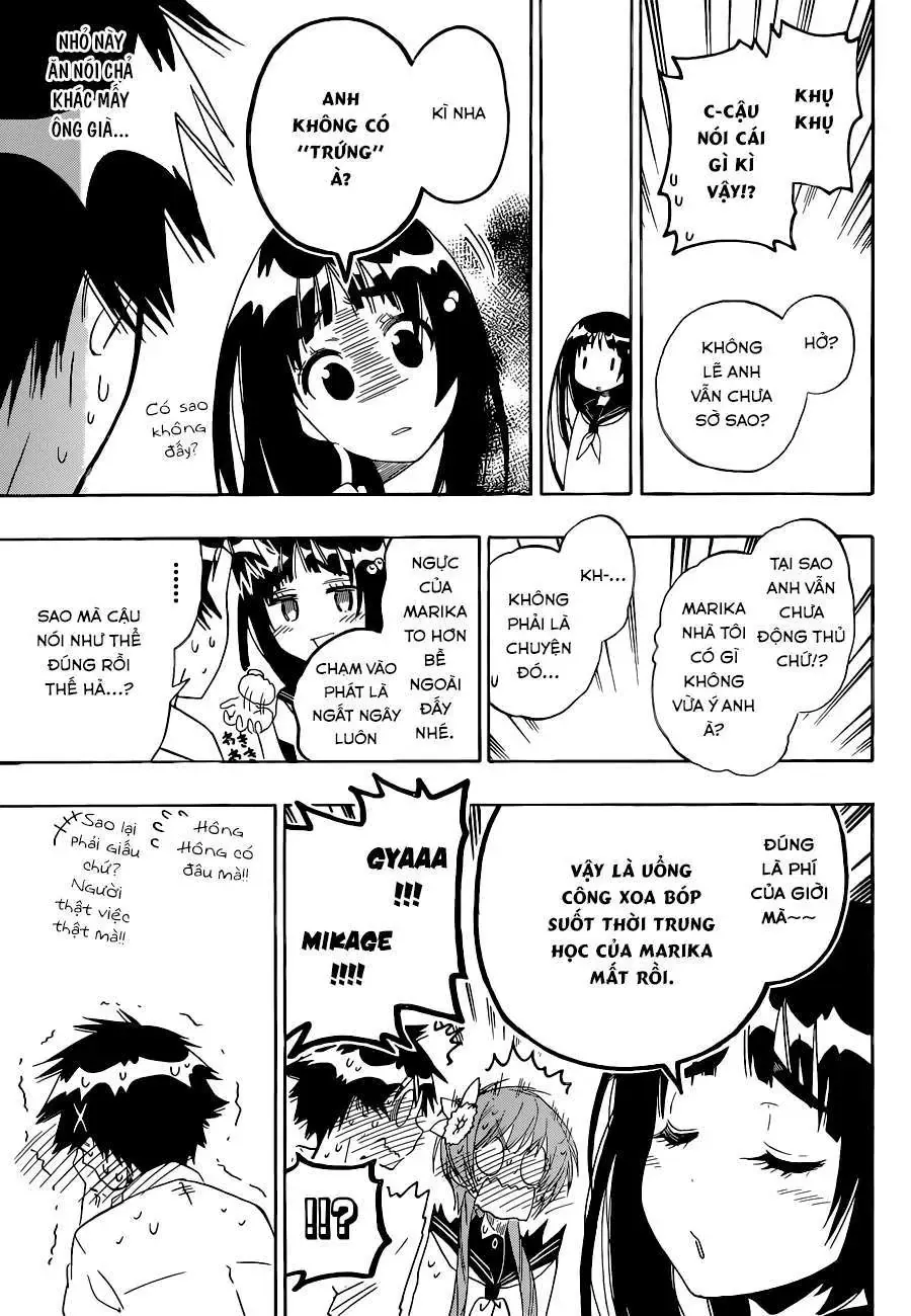 Nisekoi Chapter 95 - Trang 19