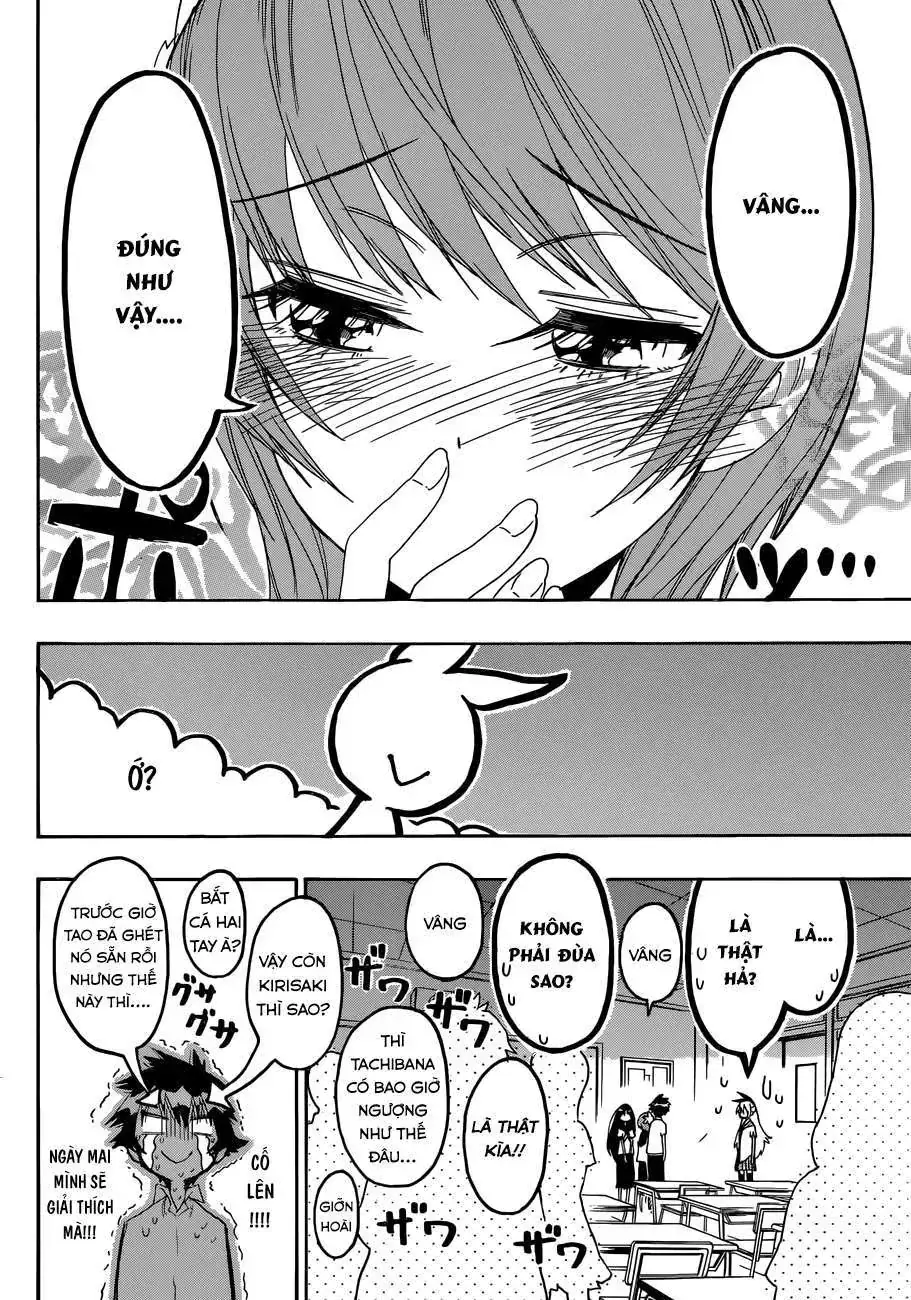 Nisekoi Chapter 96 - Trang 12
