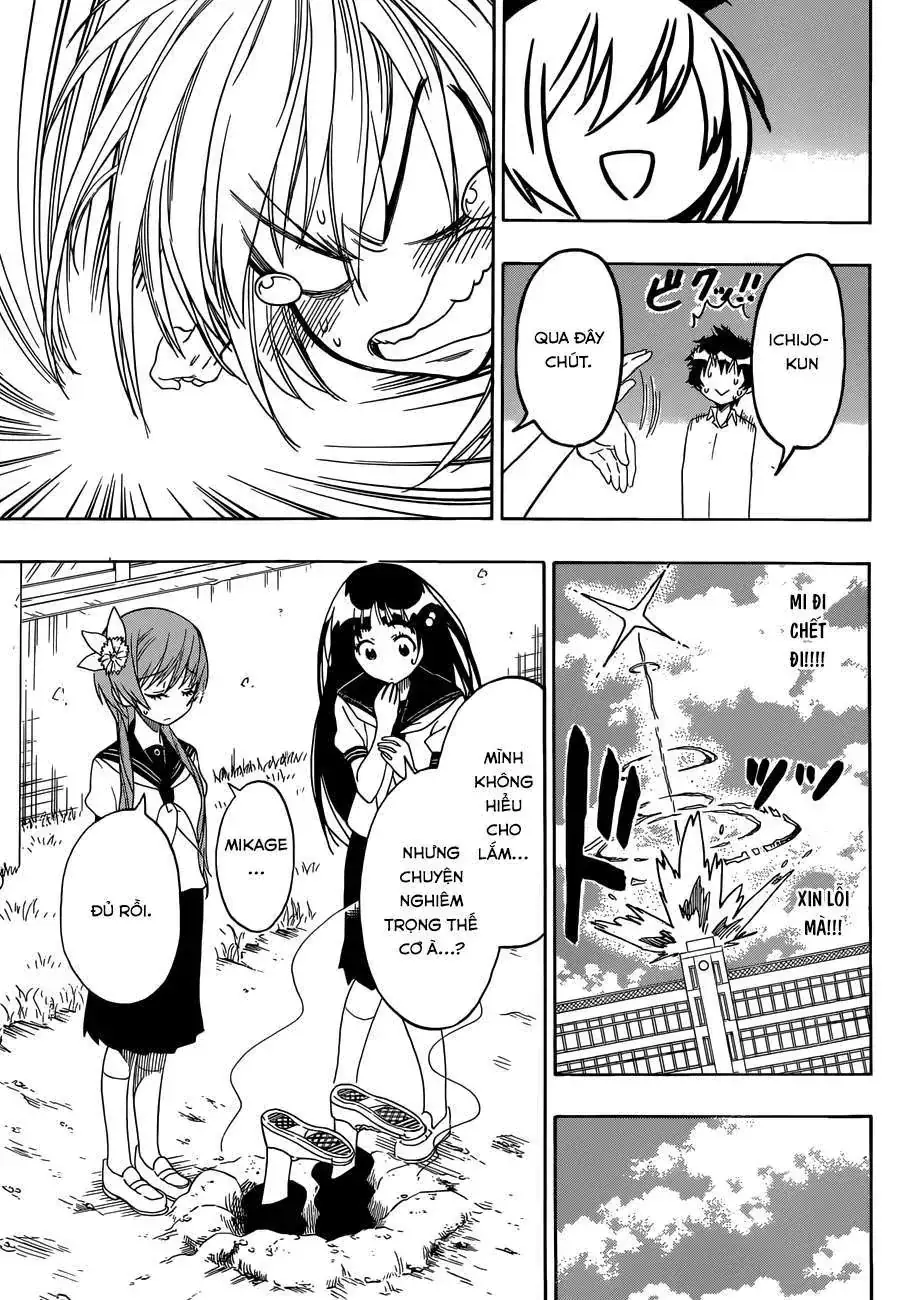 Nisekoi Chapter 96 - Trang 13