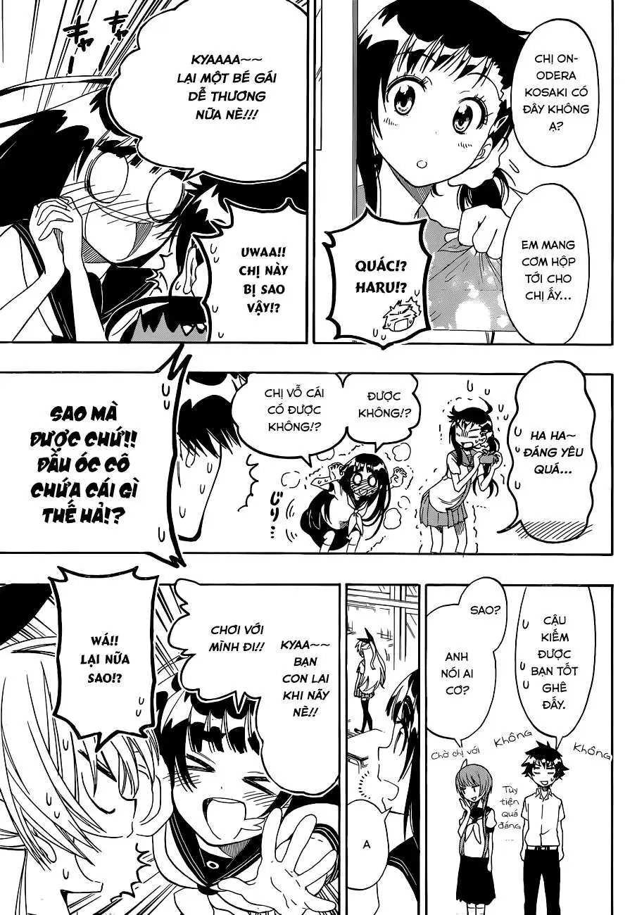 Nisekoi Chapter 96 - Trang 9