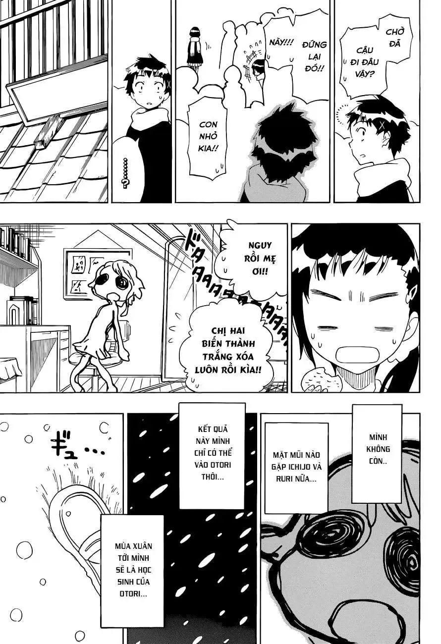 Nisekoi Chapter 98 - Trang 16