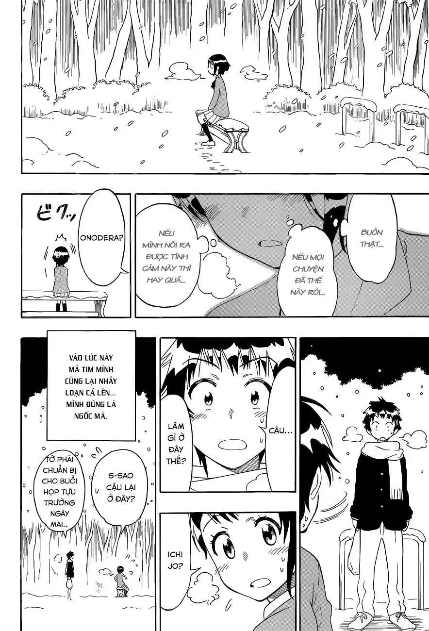 Nisekoi Chapter 98 - Trang 17