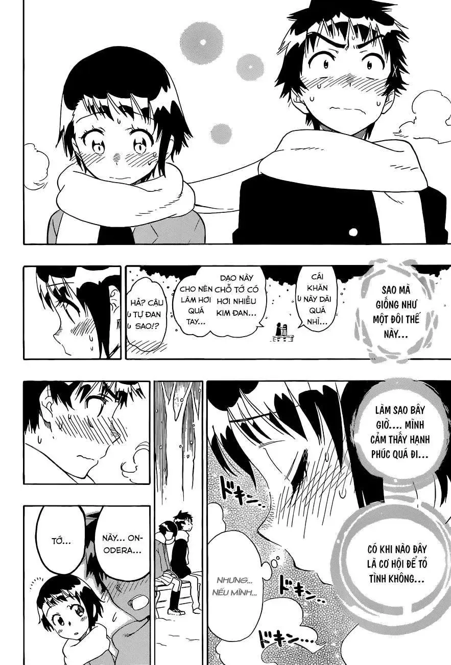 Nisekoi Chapter 98 - Trang 19