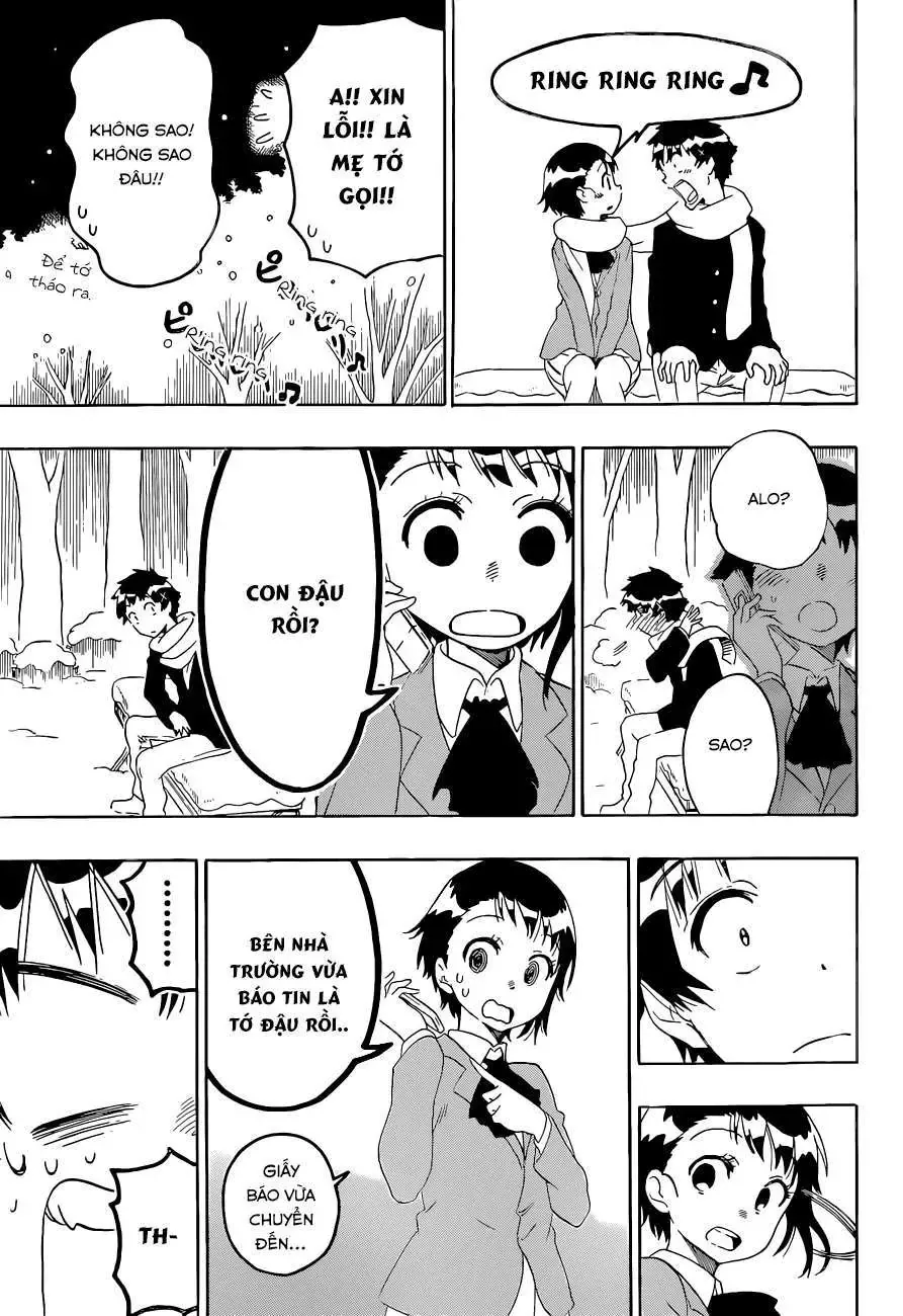 Nisekoi Chapter 98 - Trang 20