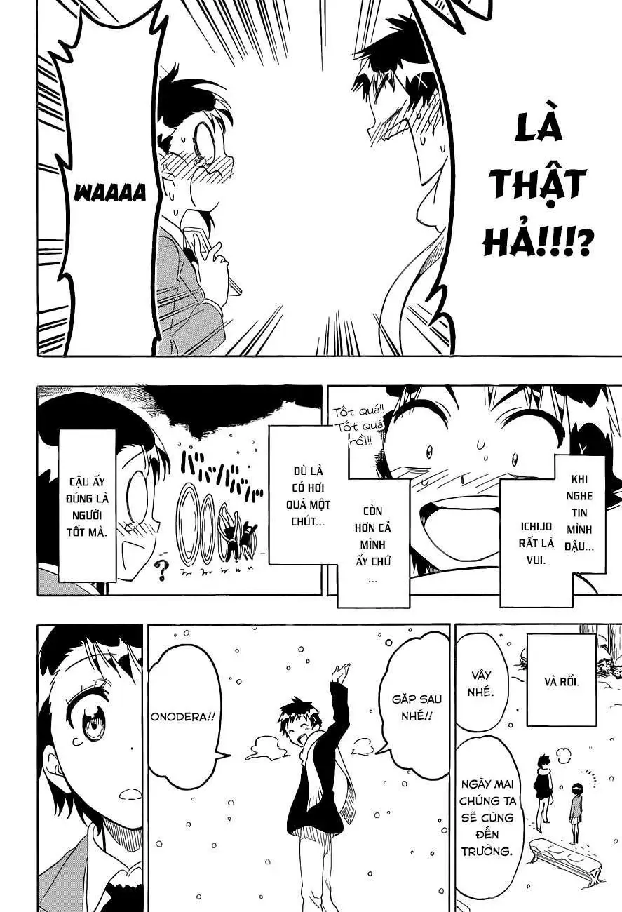 Nisekoi Chapter 98 - Trang 21