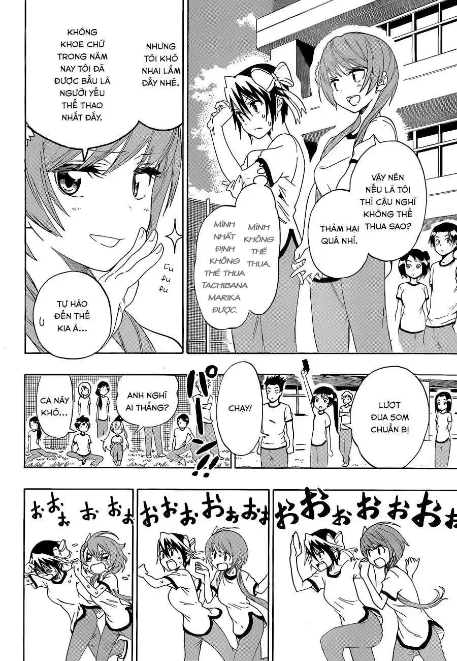 Nisekoi Chapter 99 - Trang 12