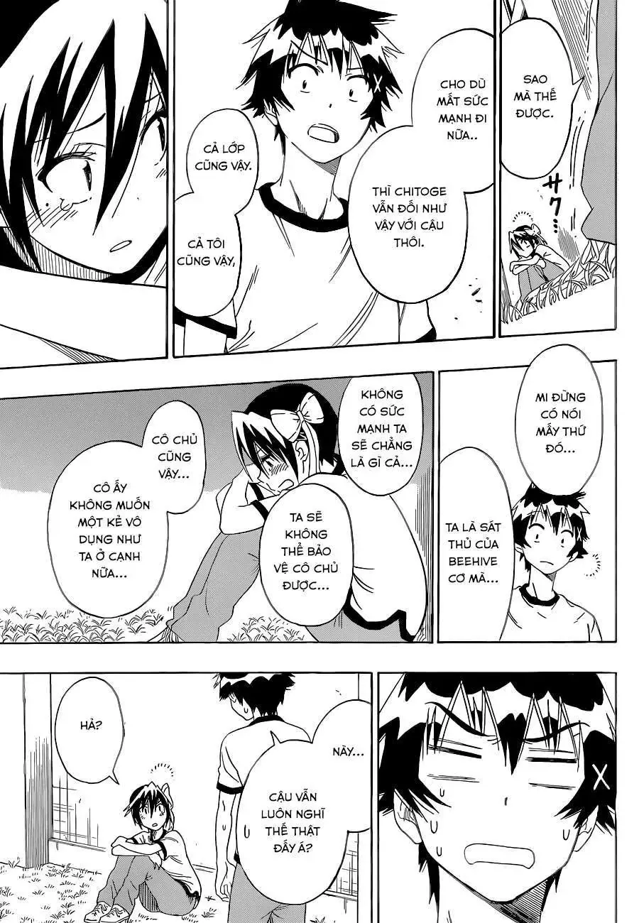 Nisekoi Chapter 99 - Trang 15