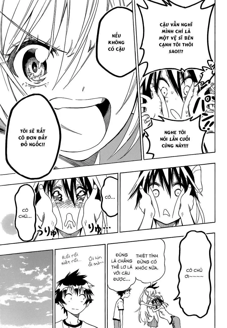 Nisekoi Chapter 99 - Trang 17