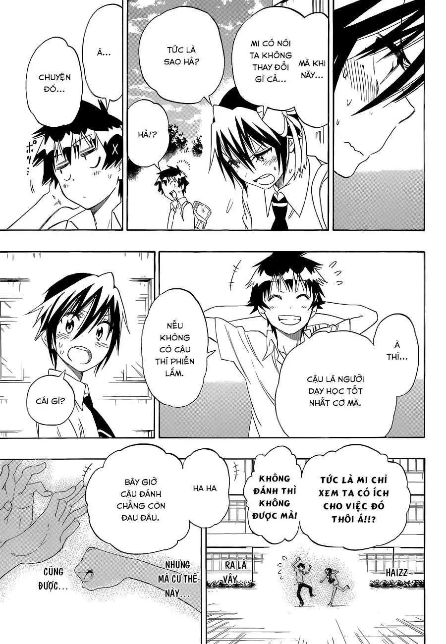 Nisekoi Chapter 99 - Trang 19
